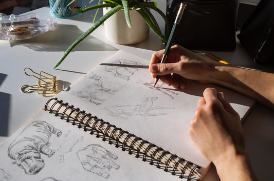 Why I Started Drawing Again (And Why You Might Want To, Too)